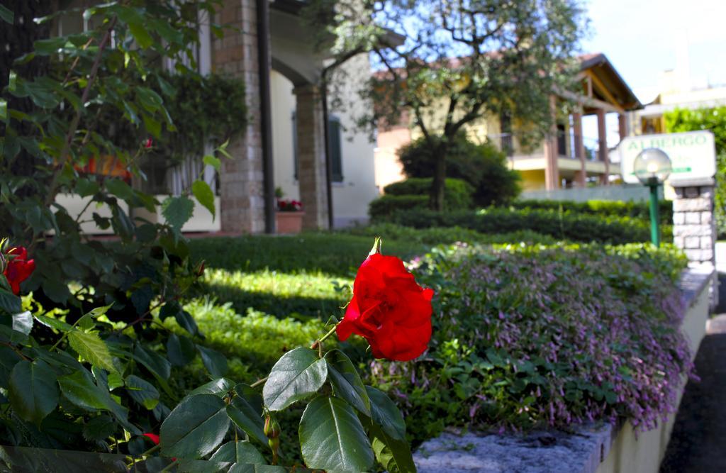 Albergo La Quiete Desenzano del Garda Exteriör bild